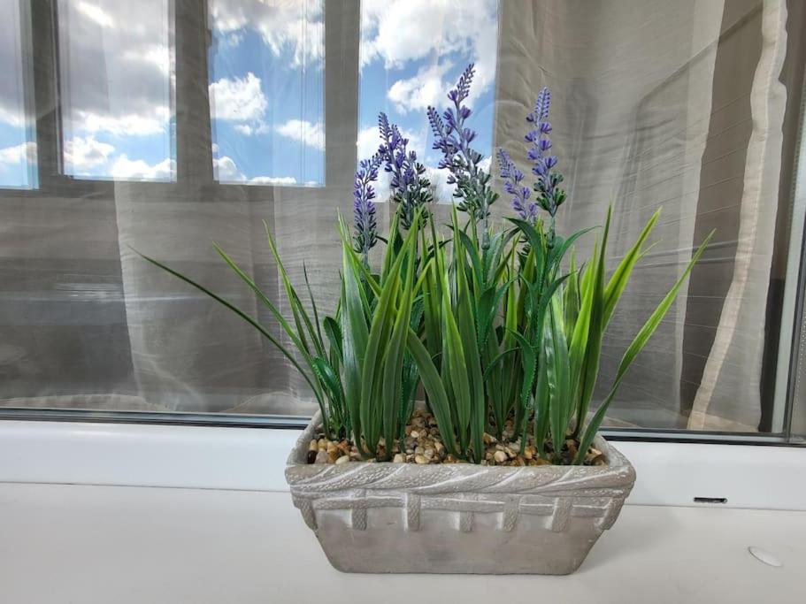 Bright City Apartment Warna Zewnętrze zdjęcie